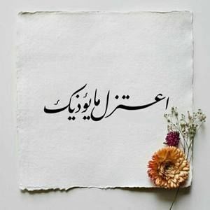 Meet your Posher, Hebatallah